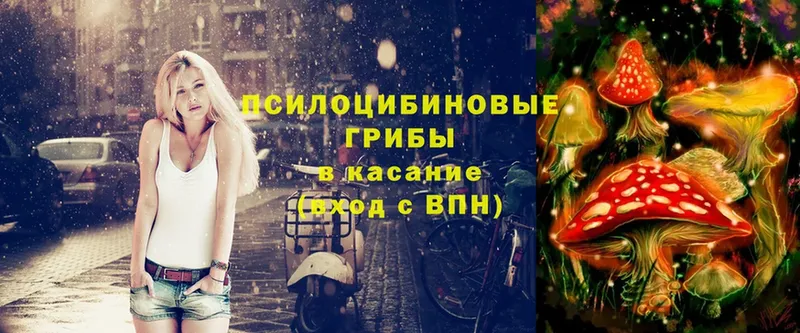 Псилоцибиновые грибы Magic Shrooms  Руза 